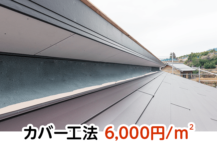 カバー工法
